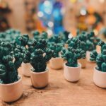 GIOIE DI PUGLIA - Pianta Fico d'India in Ceramica Pugliese altezza 12cm