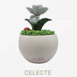 Pianta Roseto in Porcellana Vaso Tondo – Eleganza per i tuoi eventi - immagine 5