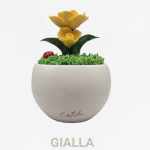 Pianta Roseto in Porcellana Vaso Tondo – Eleganza per i tuoi eventi - immagine 4