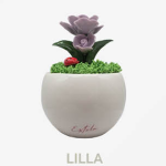 Pianta Roseto in Porcellana Vaso Tondo – Eleganza per i tuoi eventi - immagine 3