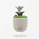 Pianta Roseto in Porcellana Vaso Tradizionale – Eleganza per i tuoi eventi - immagine 2