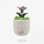 Pianta Roseto in Porcellana Vaso Tradizionale – Eleganza per i tuoi eventi - immagine 4