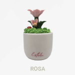 Pianta Roseto in Porcellana Vaso Tradizionale – Eleganza per i tuoi eventi - immagine 5