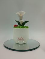 Bomboniera Piantina in Ceramica "Calla" con Coccinella Portafortuna Personalizzabile - immagine 7