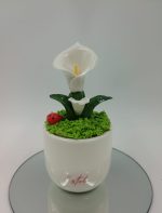Bomboniera Piantina in Ceramica "Calla" con Coccinella Portafortuna Personalizzabile - immagine 2