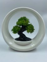 Bonsai Design "Ring of Life" in Porcellana - immagine 4