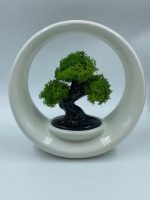 Bonsai Design "Ring of Life" in Porcellana - immagine 5