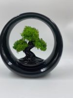 Bonsai Design "Ring of Life" in Porcellana - immagine 6