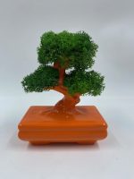 Bonsai "Zen" in Porcellana - immagine 8