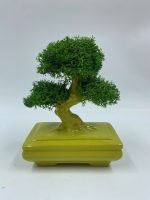 Bonsai "Zen" in Porcellana - immagine 7