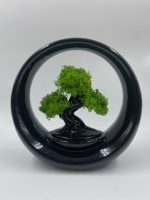 Bonsai Design "Ring of Life" in Porcellana - immagine 7