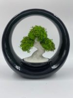 Bonsai Design "Ring of Life" in Porcellana - immagine 8