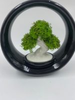 Bonsai Design "Ring of Life" in Porcellana - immagine 9