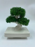 Bonsai "Zen" in Porcellana - immagine 6