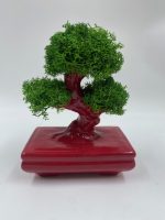 Bonsai "Zen" in Porcellana - immagine 5