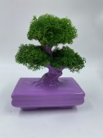Bonsai "Zen" in Porcellana - immagine 4