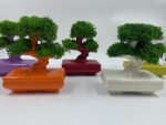 Bonsai "Zen" in Porcellana - immagine 3