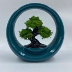 Bonsai Design "Ring of Life" in Porcellana