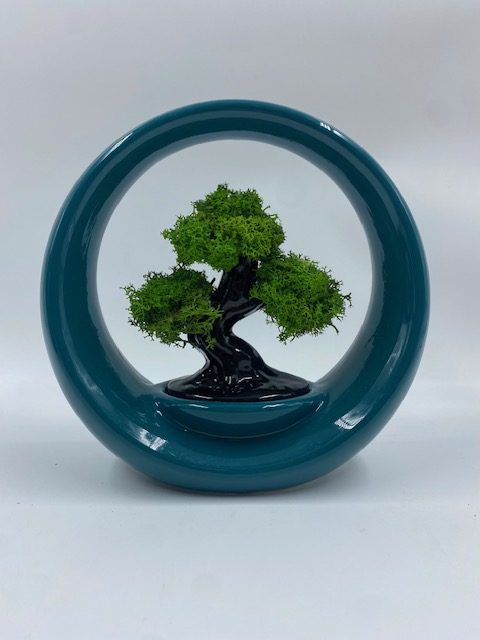 image9 Bonsai Design "Ring of Life" in Porcellana - immagine 1